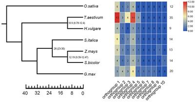 Genome-wide identification and comprehensive analysis of tubby-like protein gene family in multiple crops